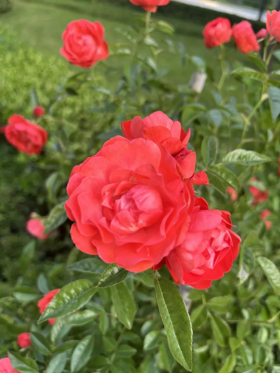 怎样在交往中不卑微,与人交往不卑微