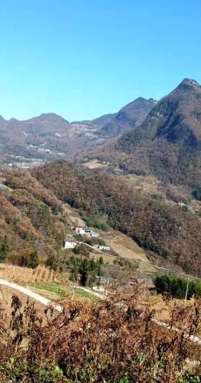 原创散文：梓榔坪像幅水墨画，涓涓的水，柔柔的风，淡淡的香