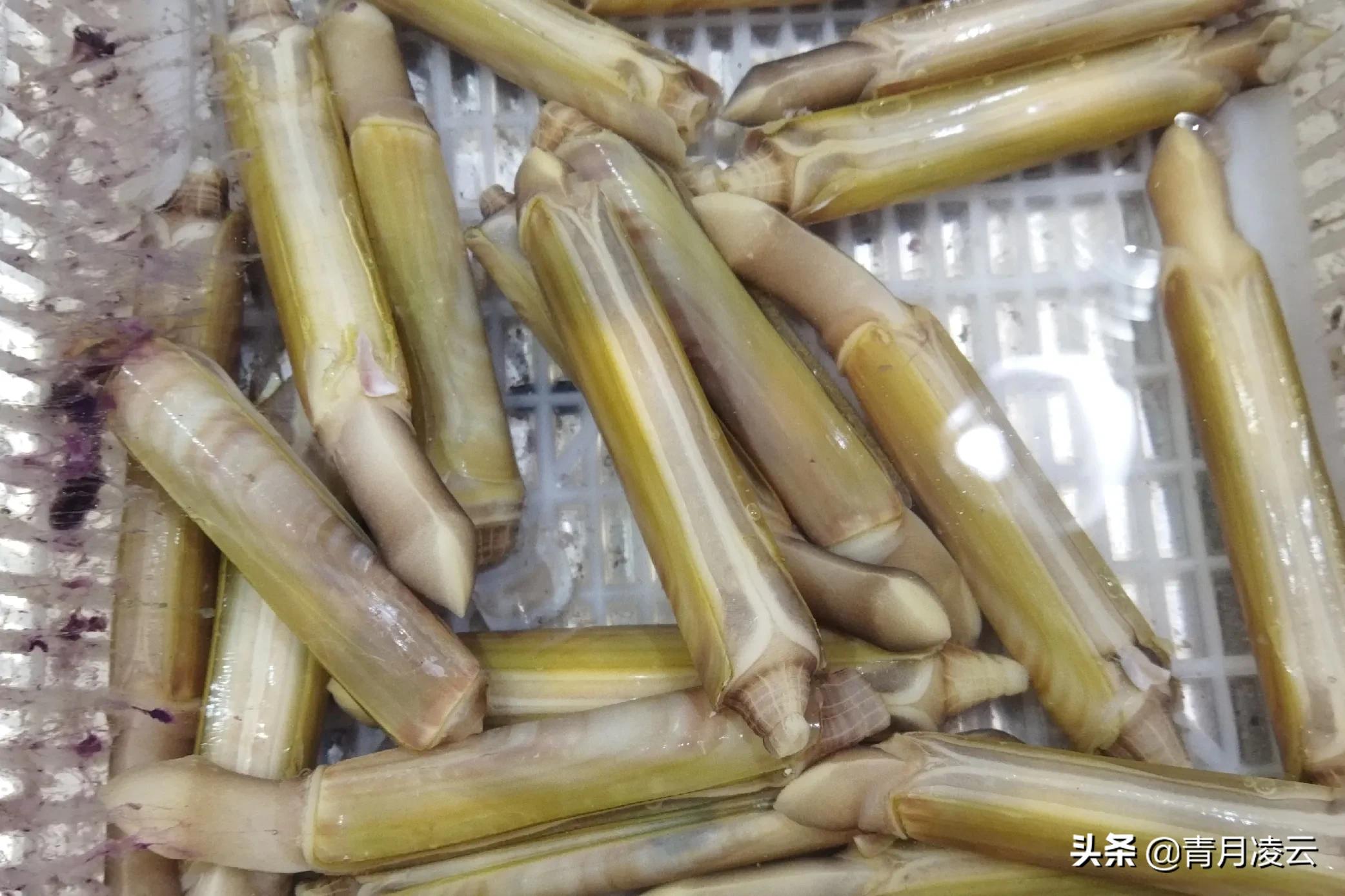 海鲜市场常见海产品图鉴,海鲜市场常见海产品图鉴表图例