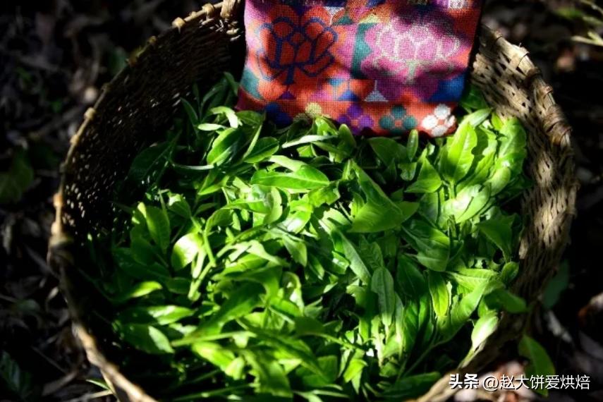 为何如今在网上买茶的人这么多？靠谱吗？“3个原因”告诉你真相