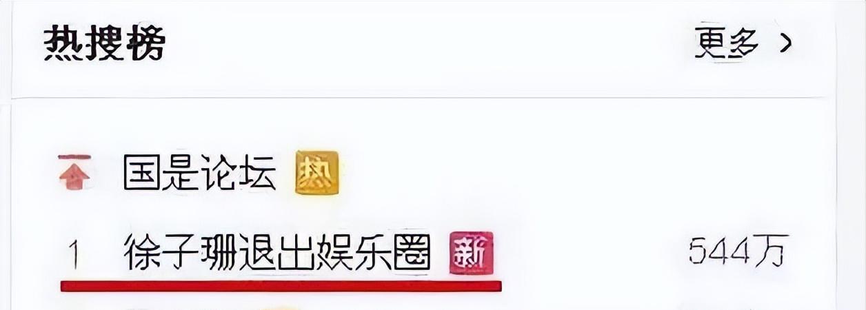 徐子珊为艺术奉献的作品,徐子珊做自己