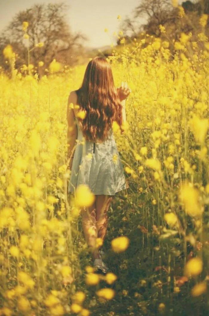 唯美手机壁纸高级感,唯美手机壁纸高清全面屏