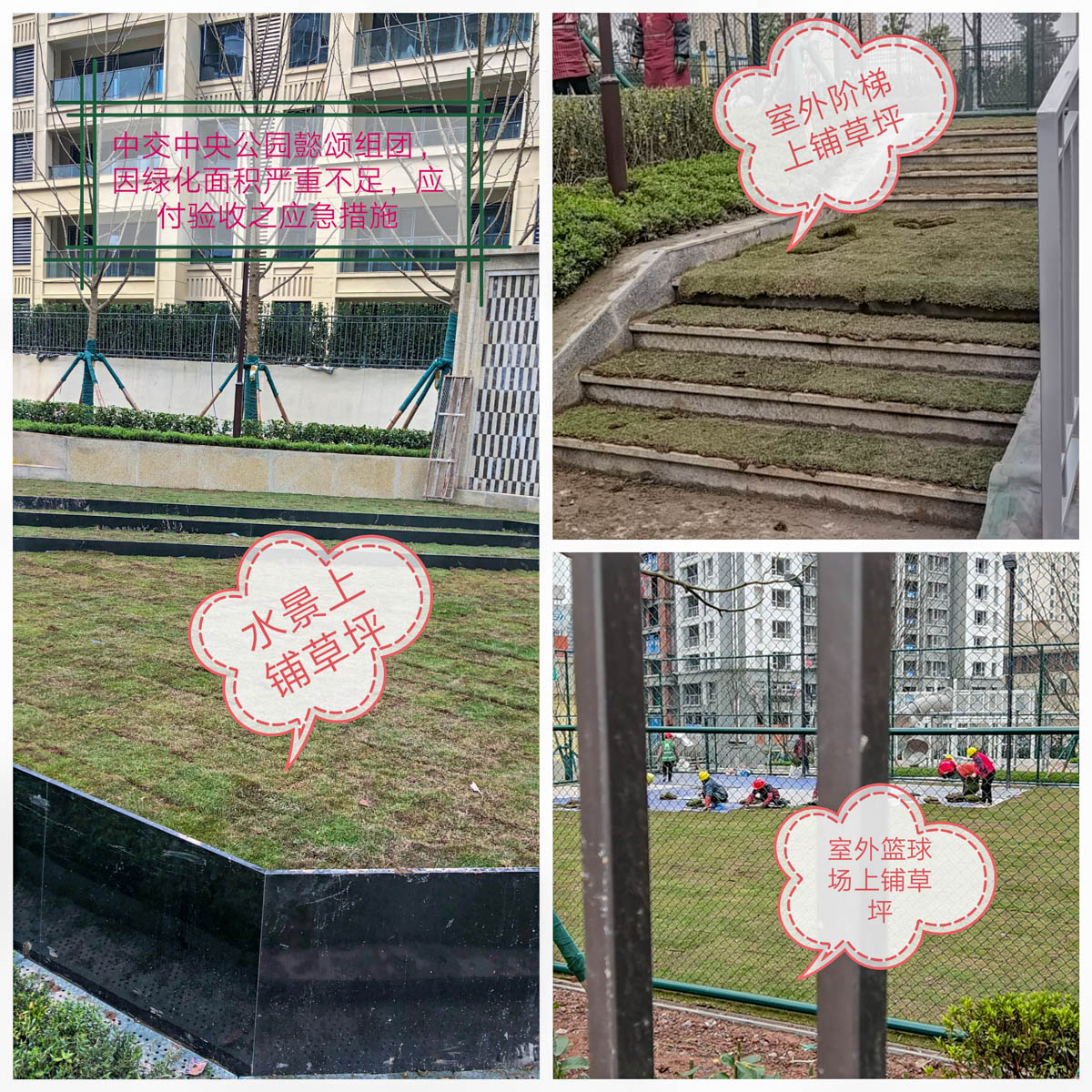 中交地产维权,中交地产质量问题