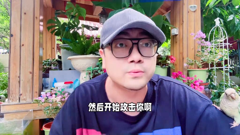 牡丹鹦鹉记仇的表现,鹦鹉记仇的表现