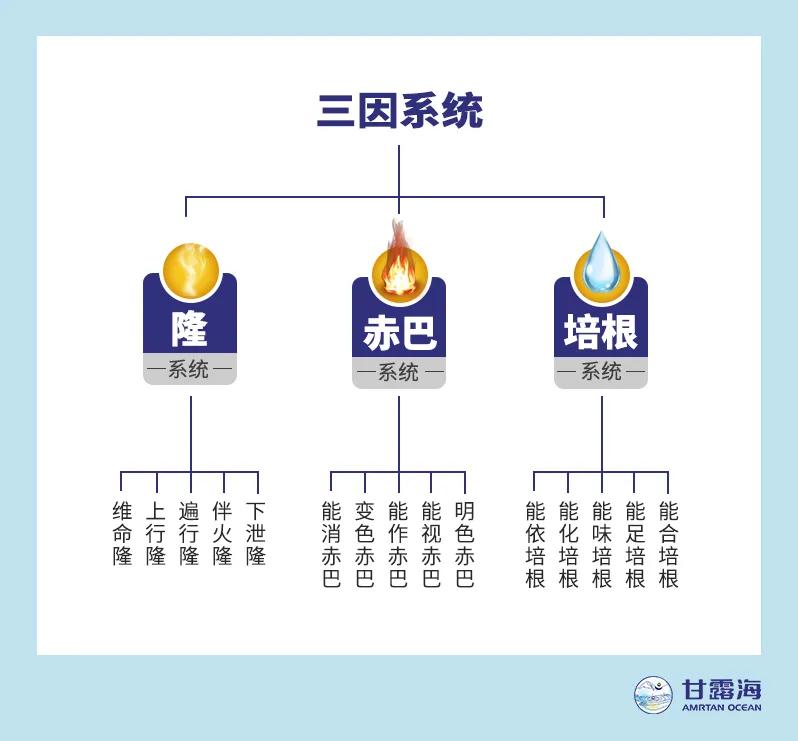 懂得了“三因”，也就了解了藏医