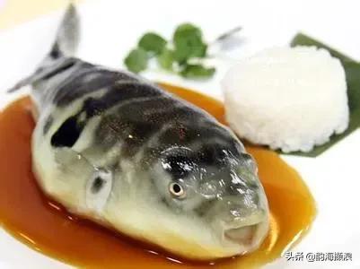 吃河豚闹肚子,会生气的河豚的笑话