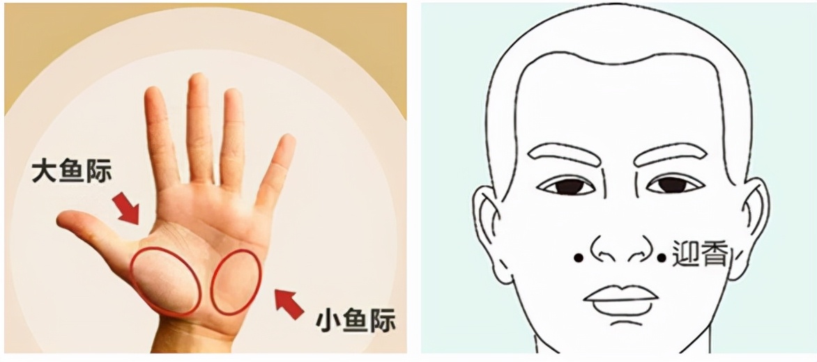 过敏性鼻炎怎么防治,防治鼻炎的有效方法