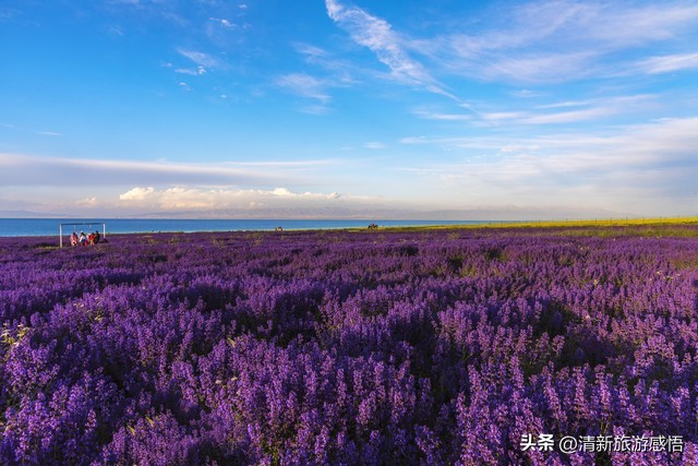 夏日内蒙古旅游攻略,夏天旅游注意事项及攻略