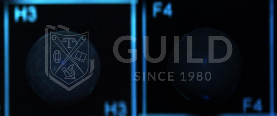 珍珠guild证书怎么看,大溪地黑珍珠鉴定证书