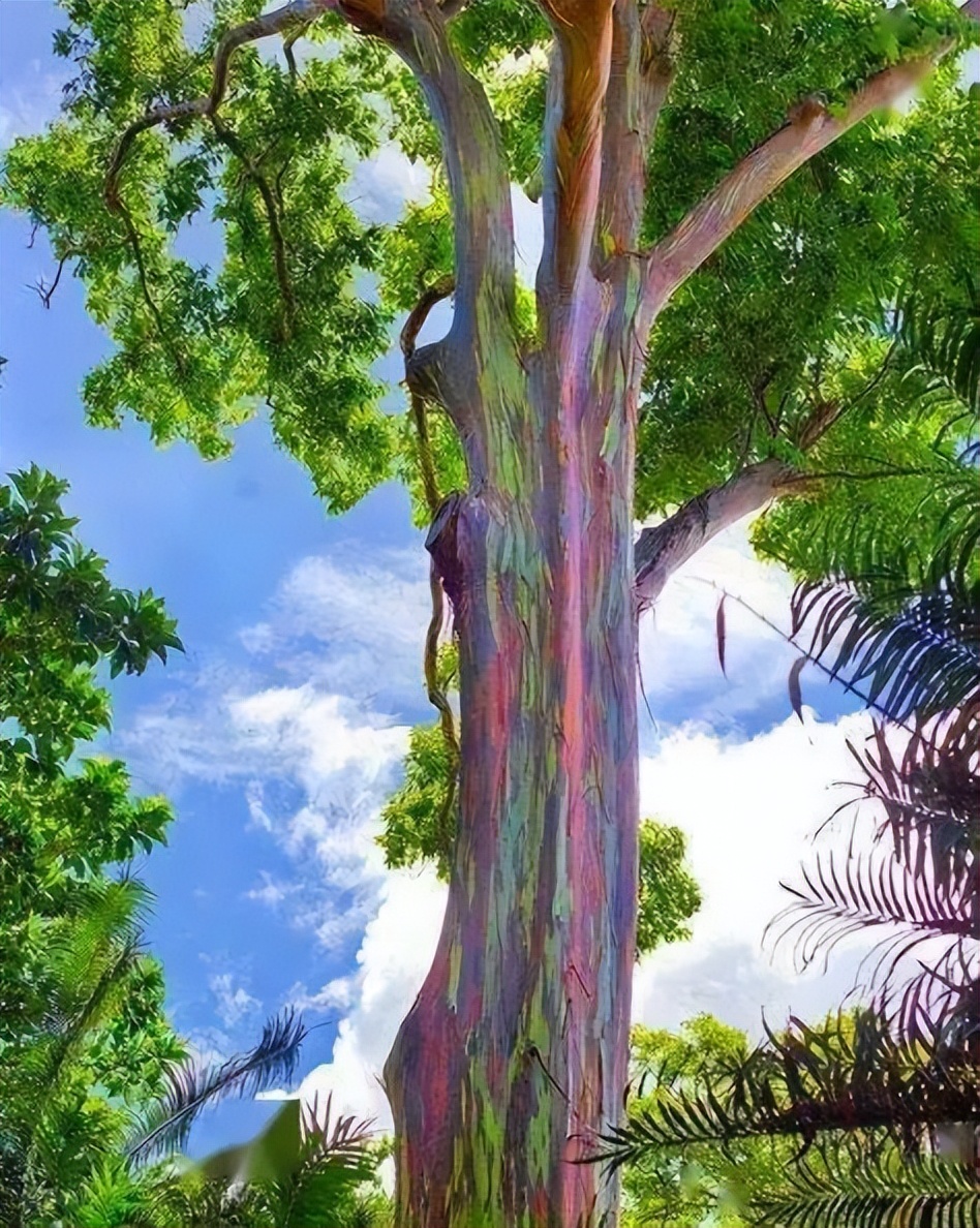 北仑疫情还回得了家吗,北仑疫情出不去了么