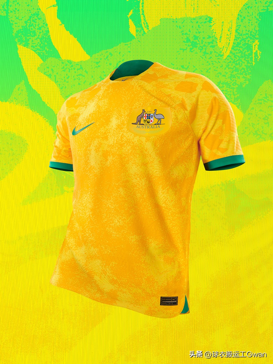 澳大利亚世界杯国家队阵容,澳大利亚国家队足球比赛