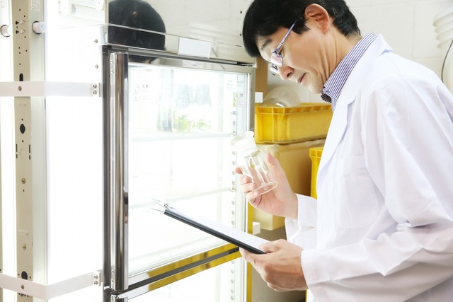 冷柜家用哪个型号好,商用四门冷柜哪个牌子好