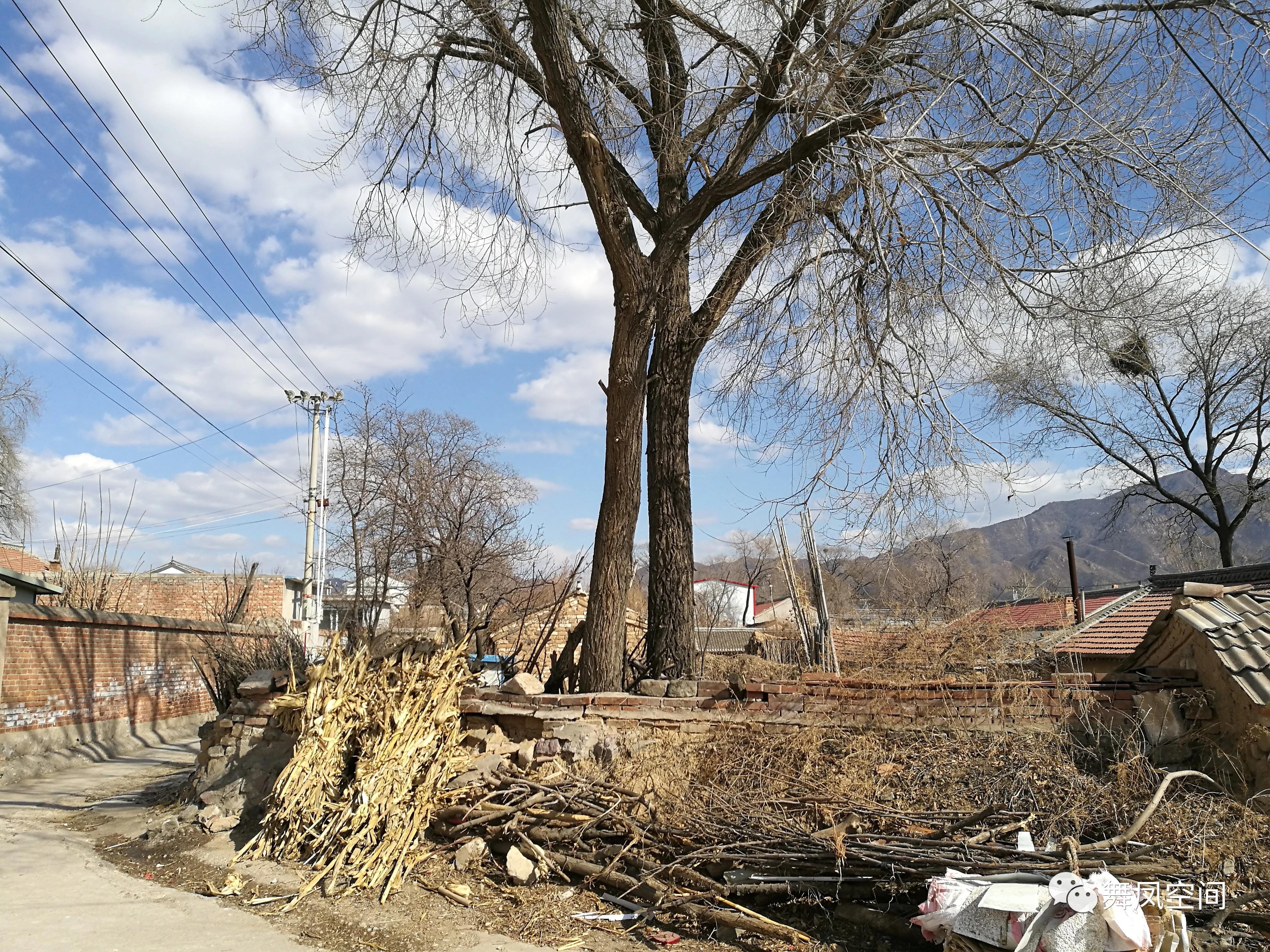 延庆柳沟豆腐宴,延庆柳沟豆腐宴目前接待游客吗