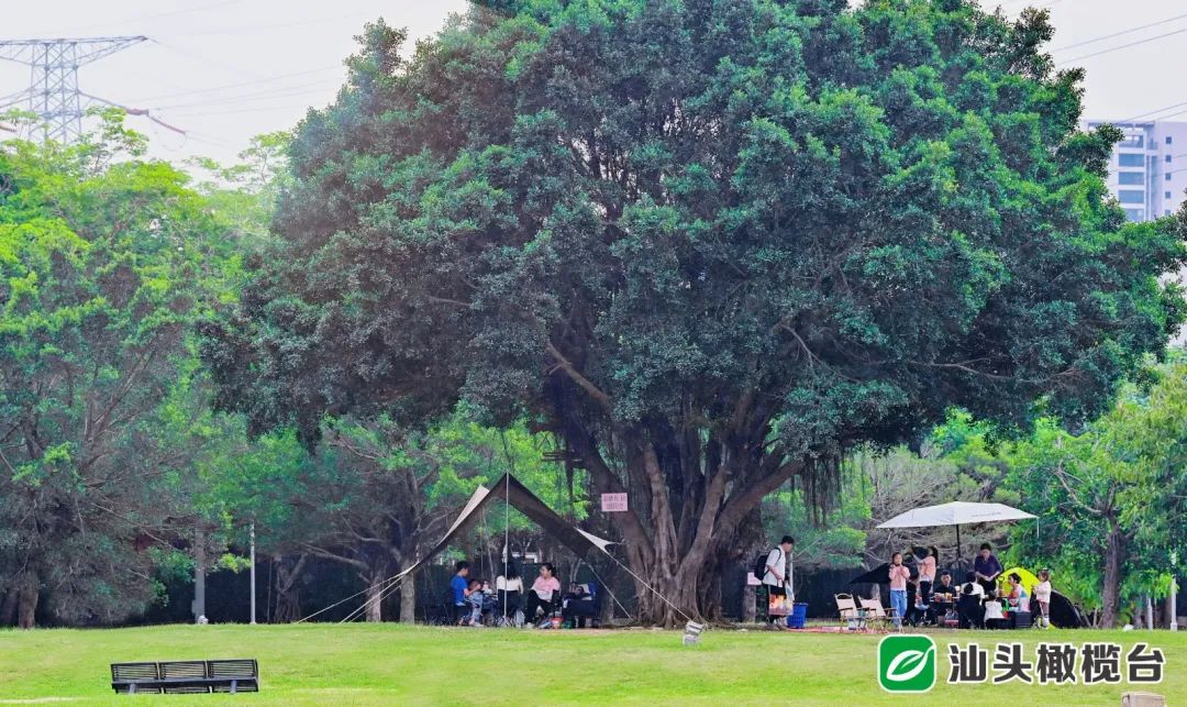 南通搭帐篷露营的好去处,楠溪江轻奢露营营地