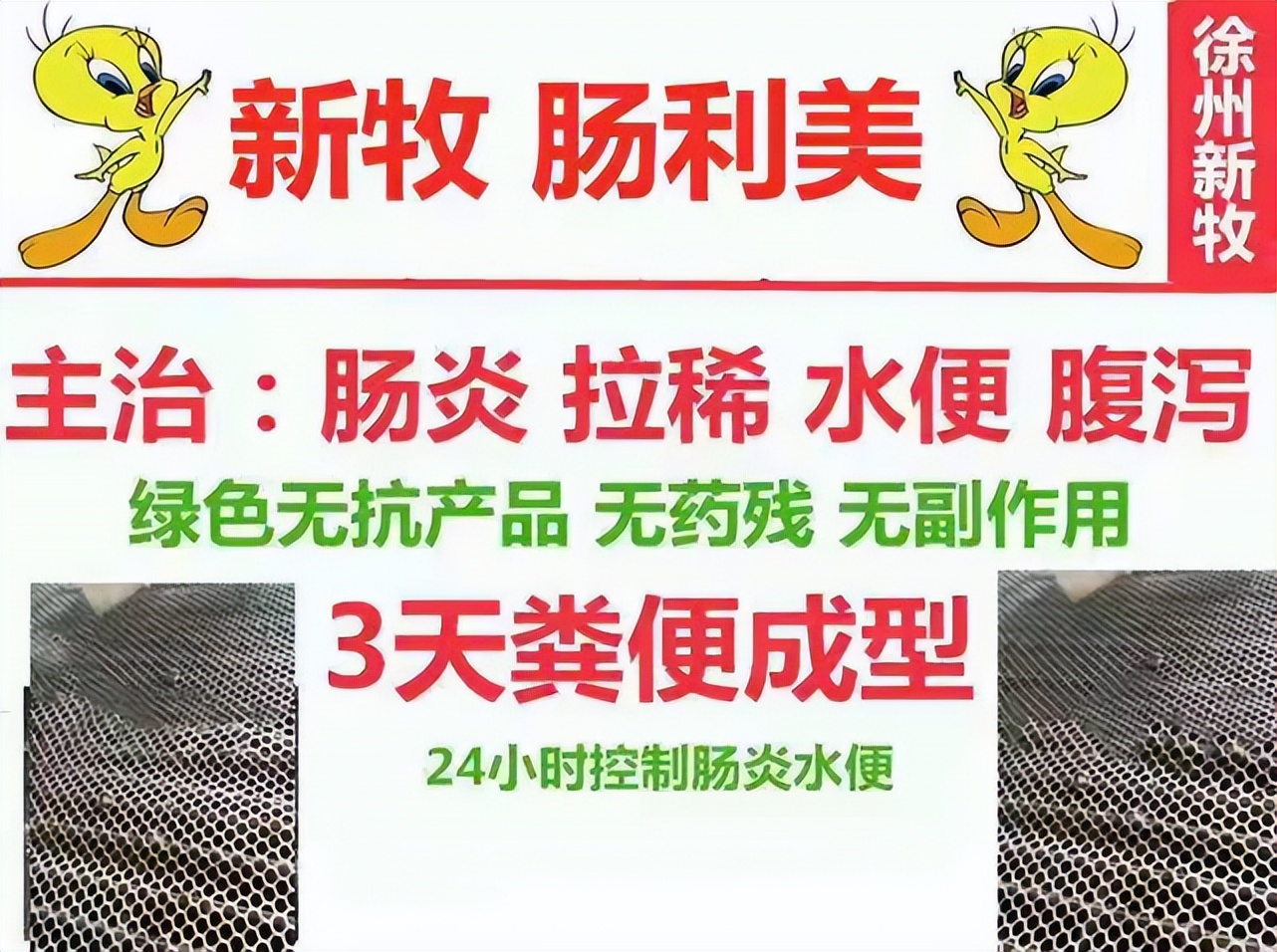鸡拉饲料便的解决方法,为什么鸡拉水便