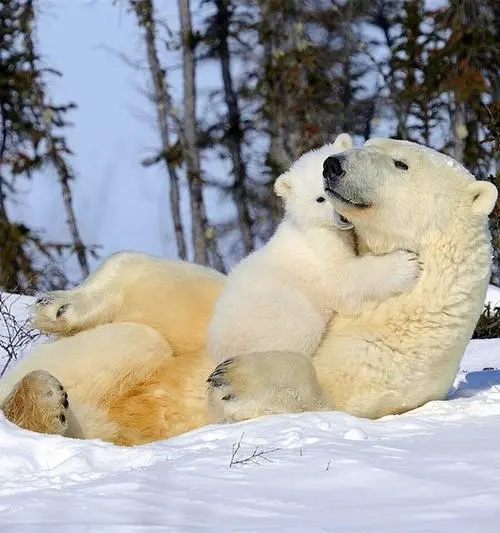 我的育儿读书日记