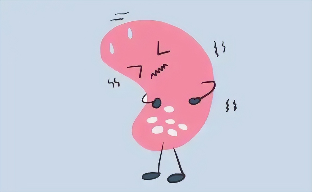 淀粉样变肾损害是什么意思,肾淀粉样变性的发病原因