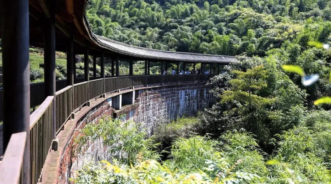 2022春节成都周边油菜花,2022年成都油菜花观赏地