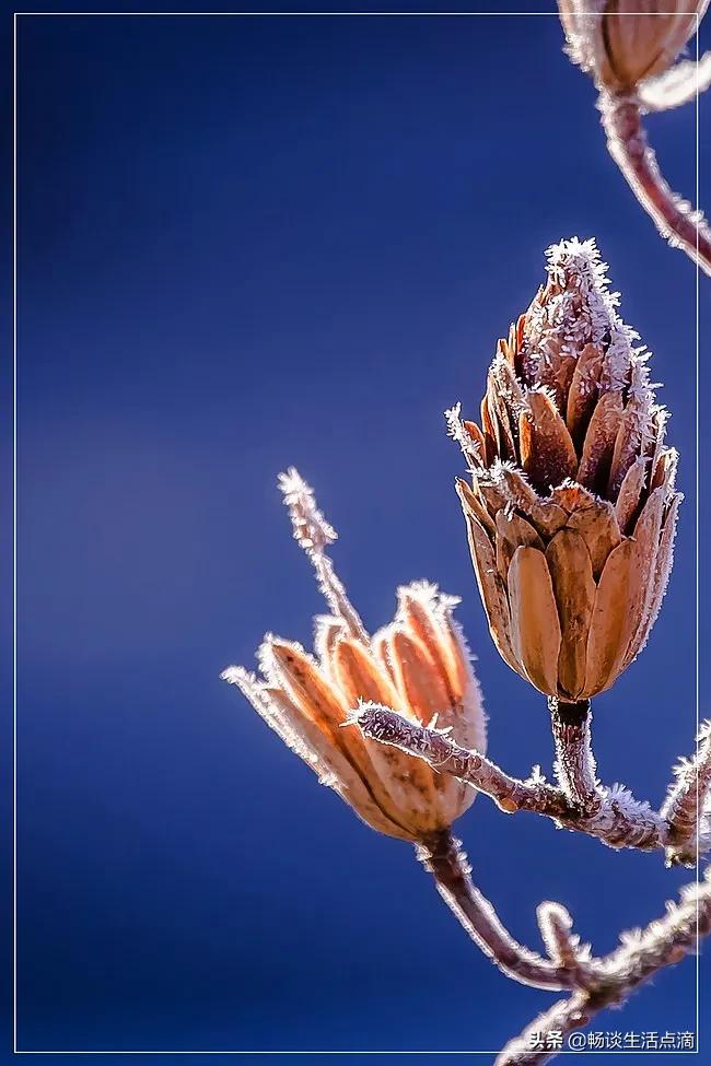 2022年有什么不好的预兆,2022年年景预测好与坏