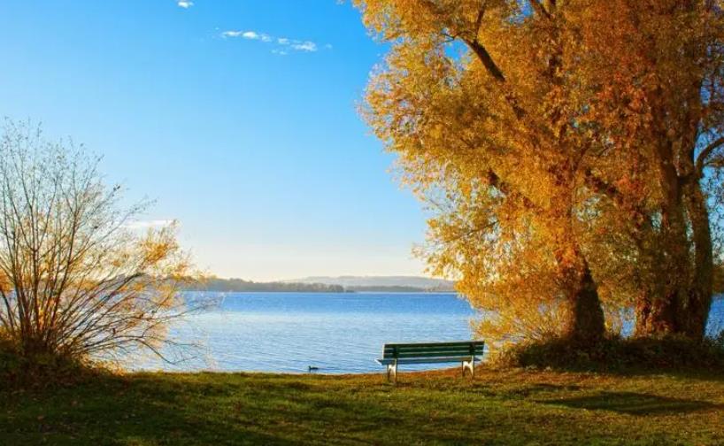 托普朗宁产品怎么样,托普朗宁