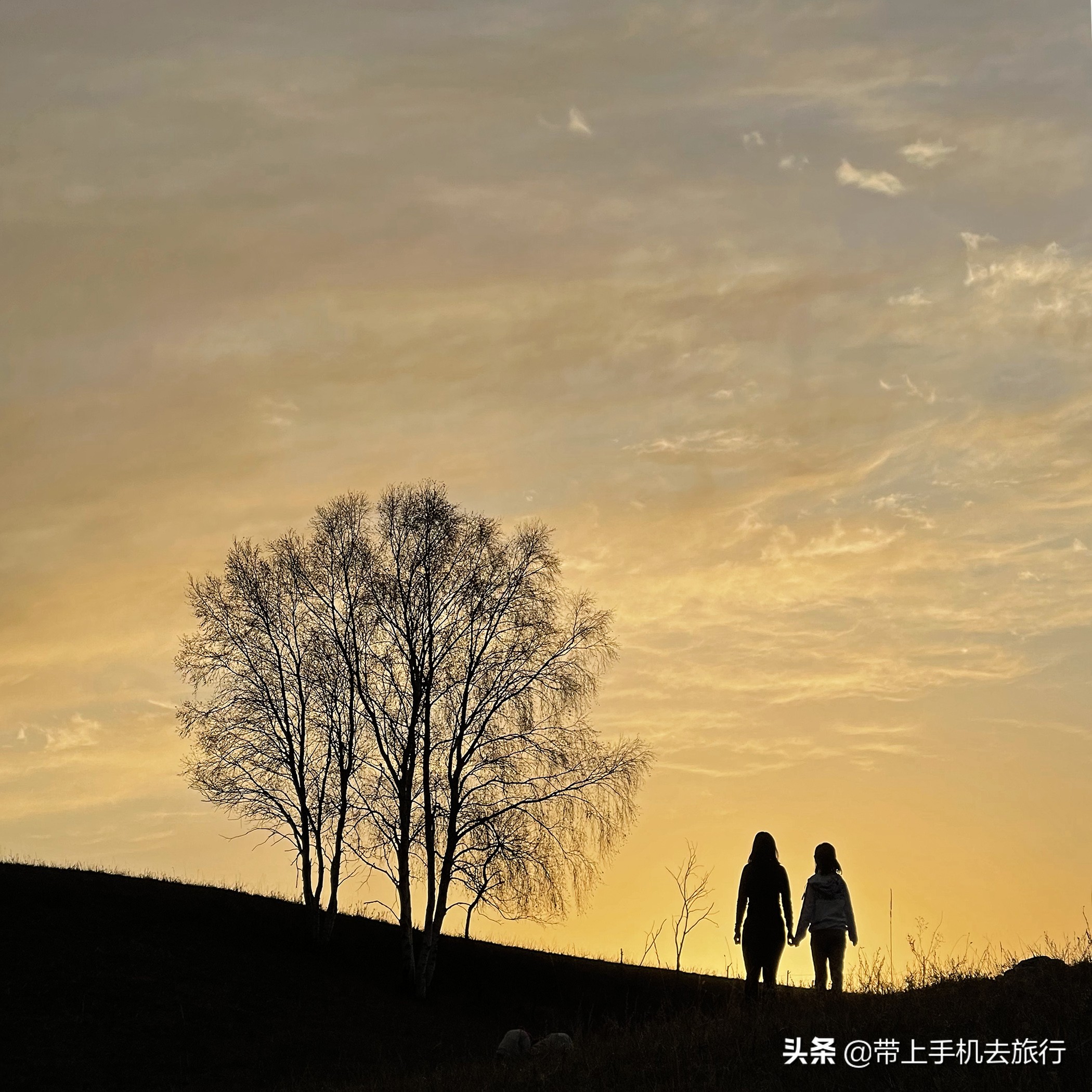 手机摄影怎么样用专业模式,手机摄影是怎么搞的