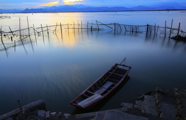 白菊多肉,白菊花夏枯草黄柏功效和作用