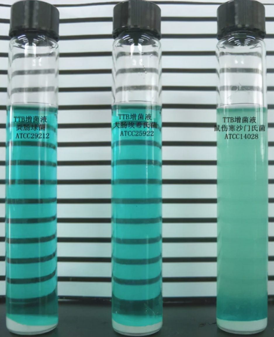 食品微生物沙门菌检验流程,食品中沙门氏菌的检测视频