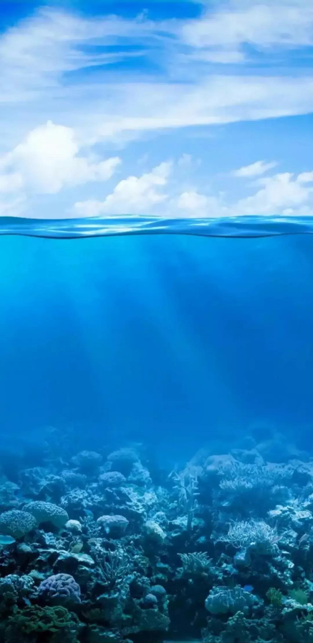 大海壁纸｜大海边，守候朝霞，聆听海浪的乐章