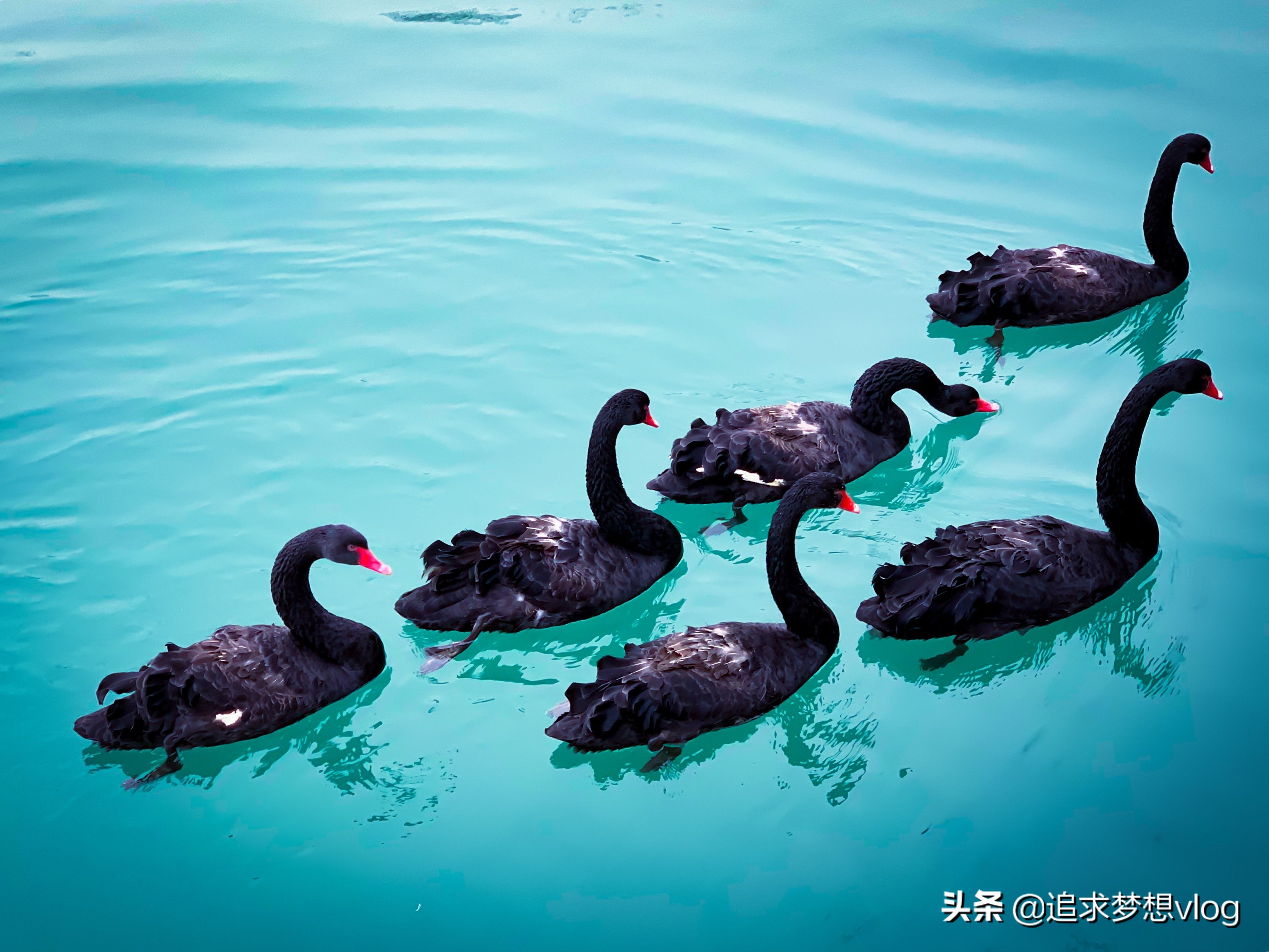 真正的朋友是什么深度解释,什么样的朋友才能算是朋友