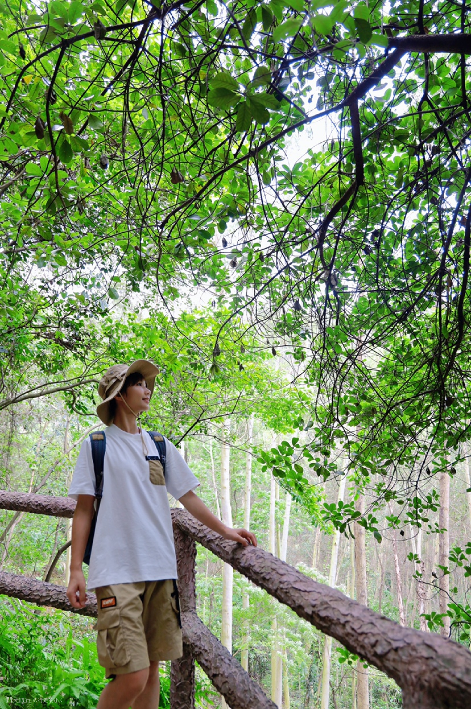 广州附近探险游玩地打卡,广州周边秋游游玩攻略