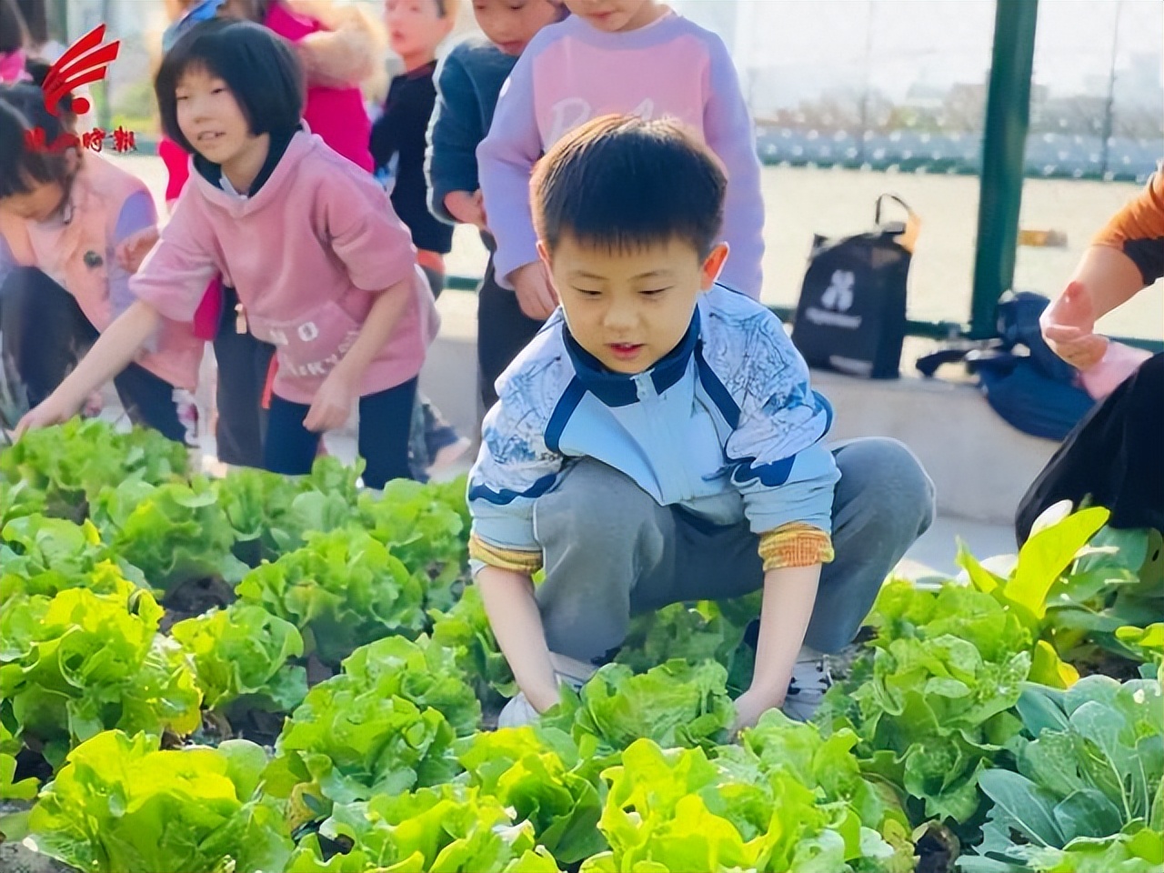 宝藏学校专业,宝藏学校都有哪些