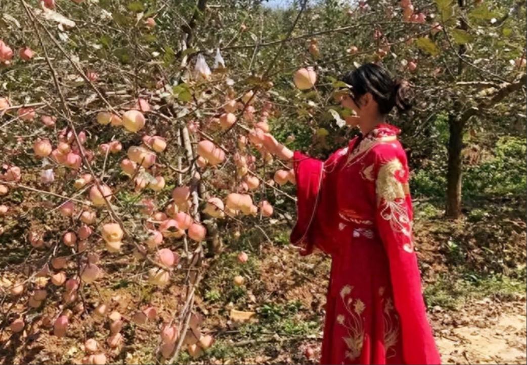 苹果在古代不叫“苹果”，古人取了个很唯美的名字，日本沿用至今