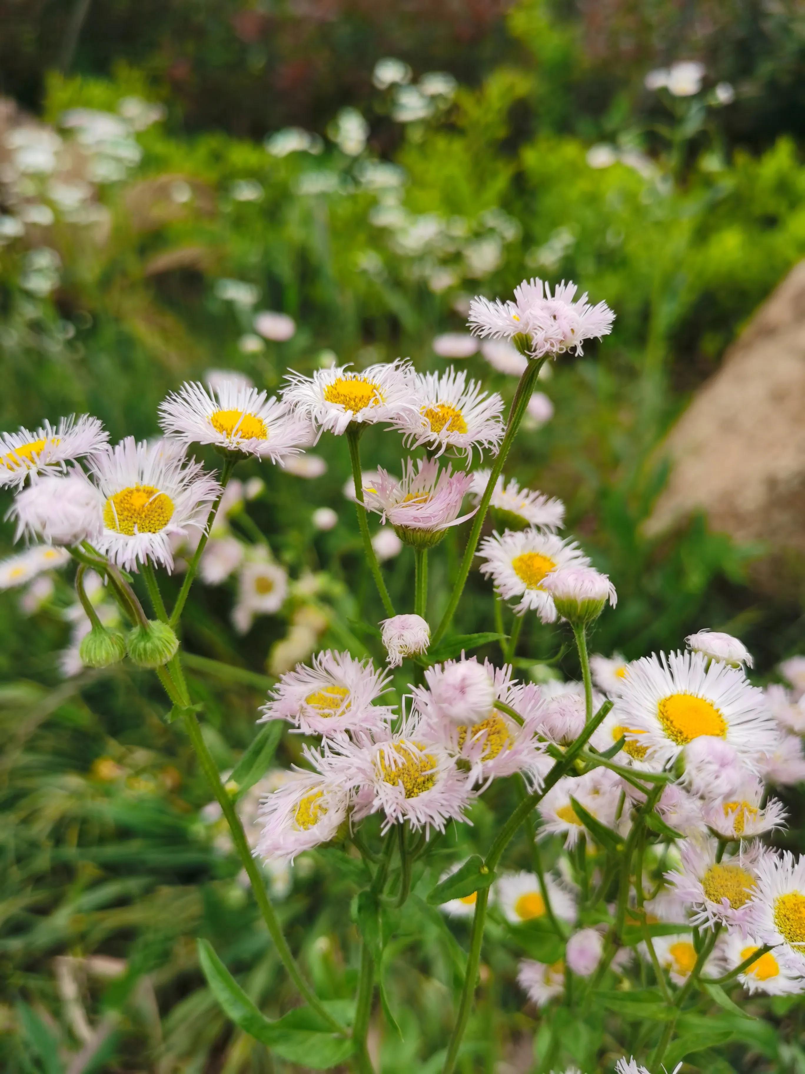 每个借款人都有自己的故事,安徽明纪帮你解决资金债务问题