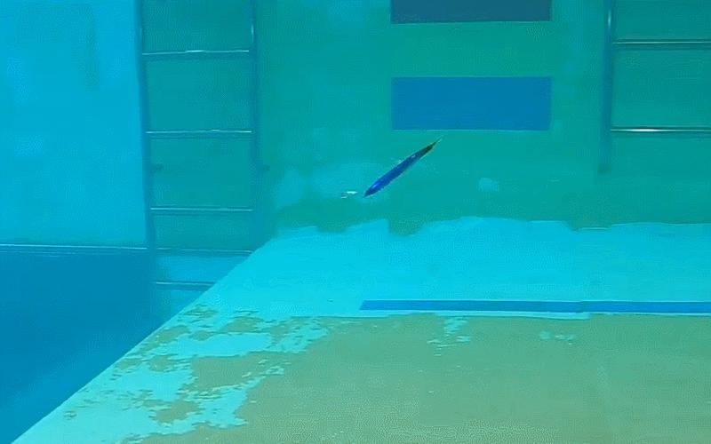 閽撳叿鏂伴椈,娓斿叿琛屼笟鏂伴椈