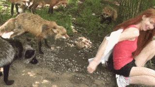 48岁林志玲打扮越来越像日本贵妇,林志玲日本范十足