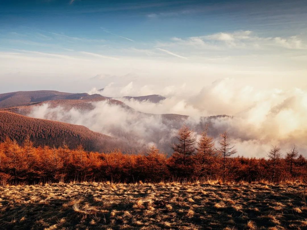 汾河主要特点和作用,汾河为什么属于黄河水系