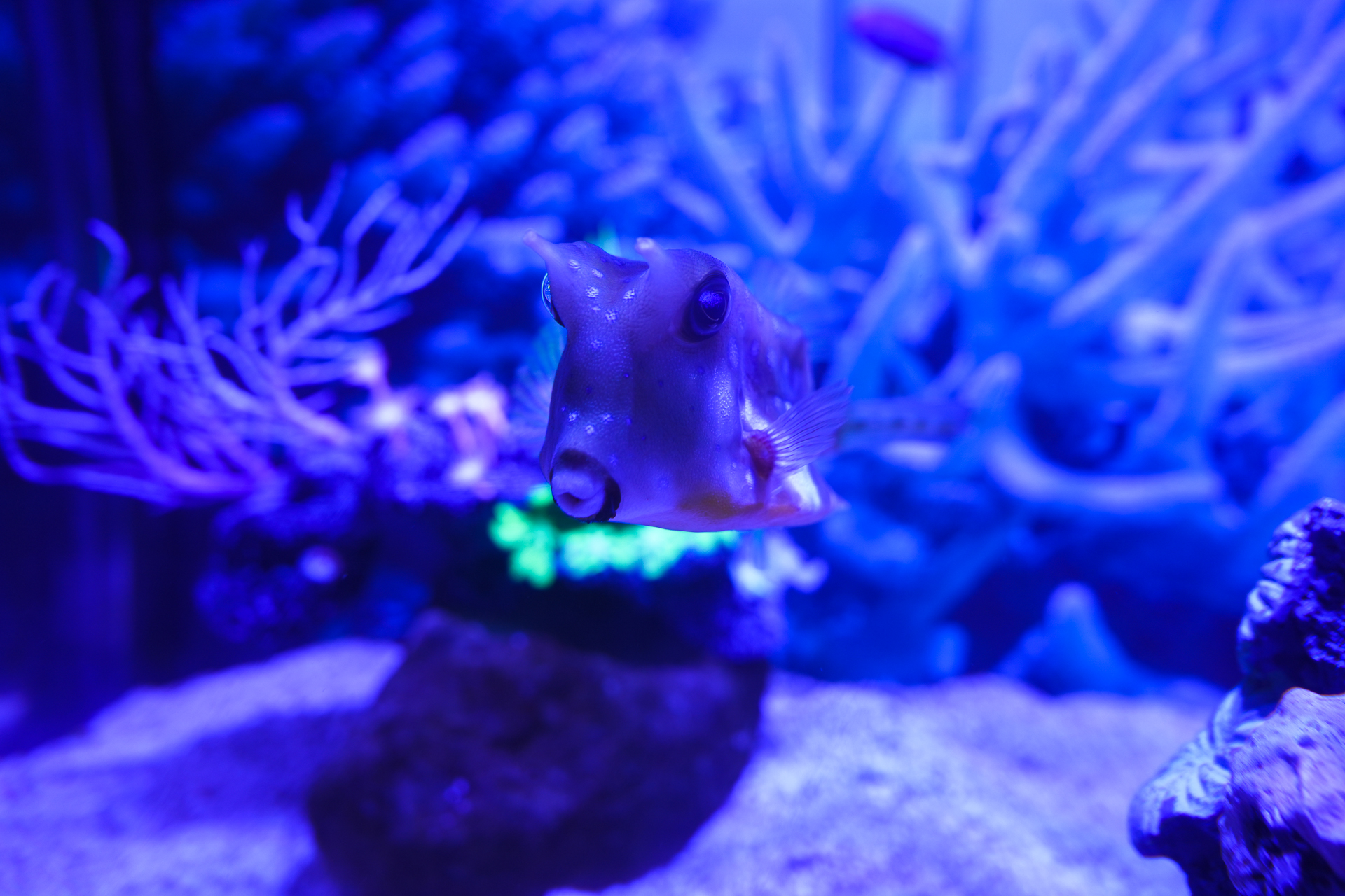 温州瓯海美食一条街,温州乐园刺激惊险