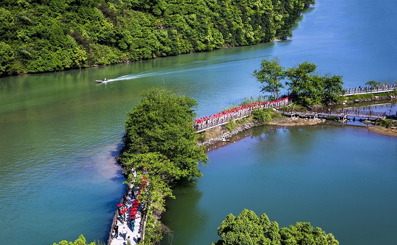 杭州旅游必去十大景点推荐一下,杭州看花好去处杭州网红景点