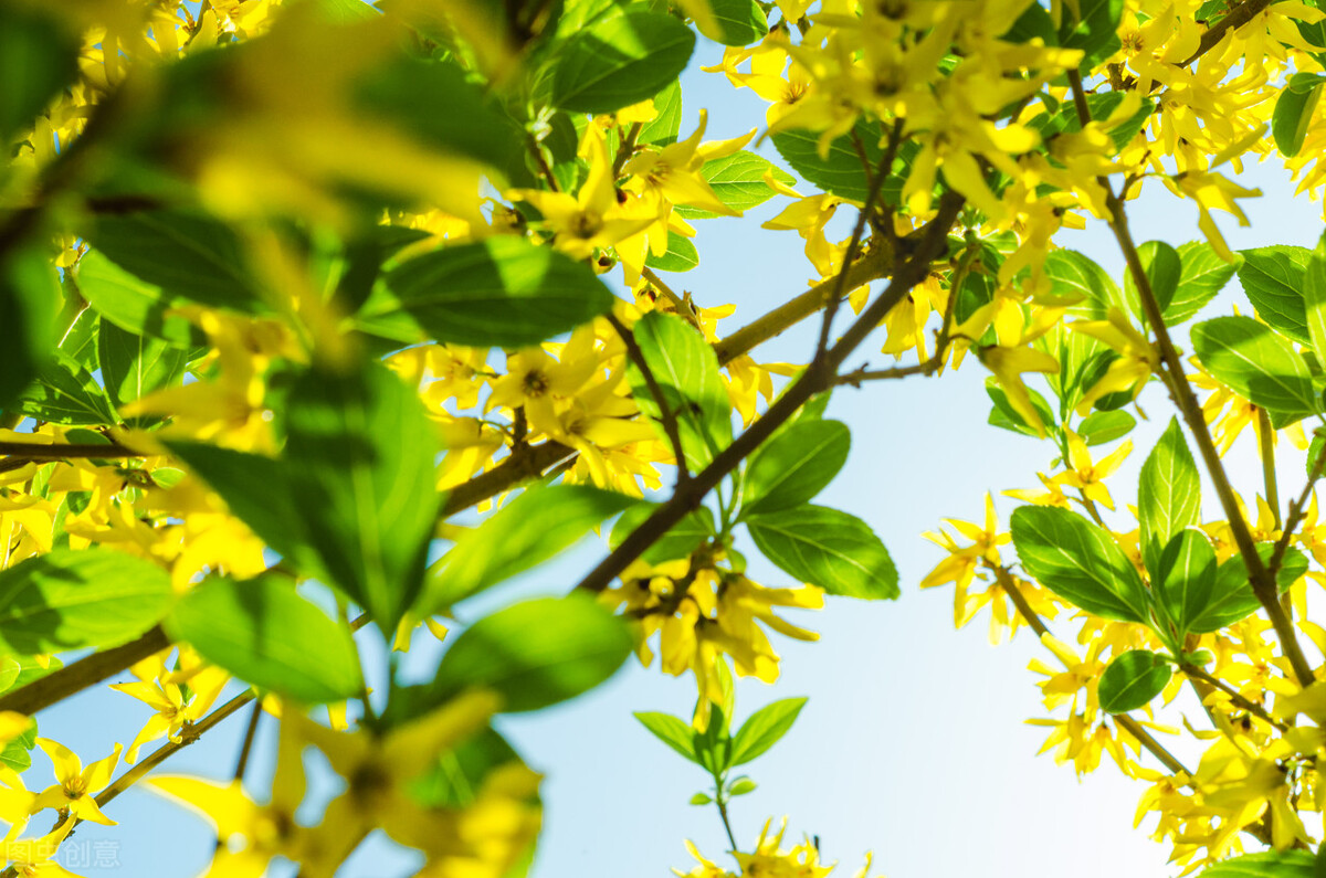 【中医五运六气：东风气交，物所由生】