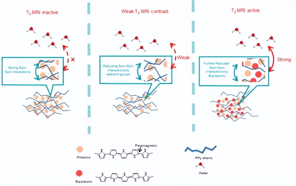 复旦团队发表研究成果,复旦大学最新科研消息