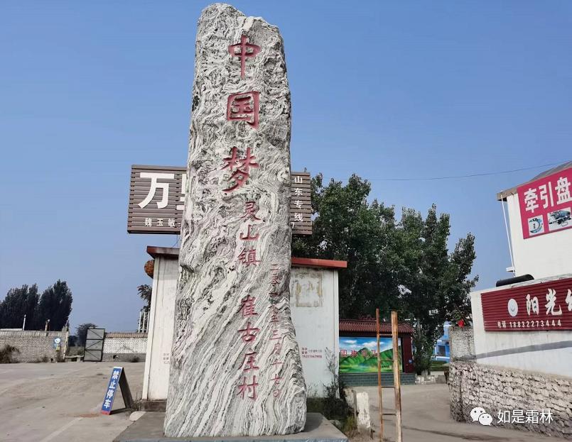 张建成坠子刘公案选段,张建成事件全过程