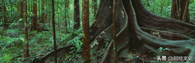 优秀的孩子养成在于点滴的培养,如何能够锻炼孩子的品质心性