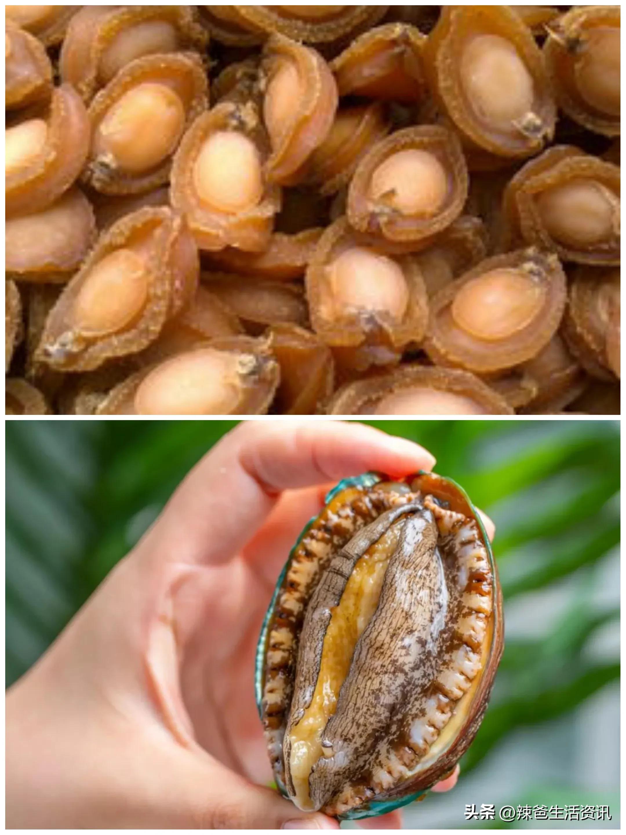 青岛冬季旅游攻略海鲜,青岛旅游推荐什么海鲜好吃