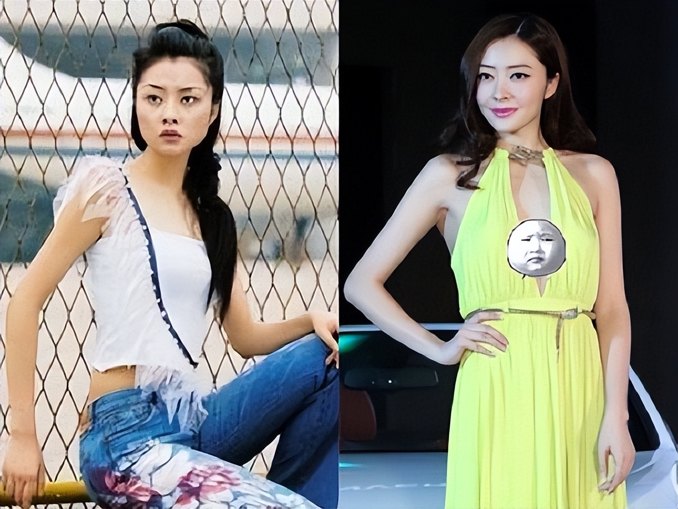 杨颖早期嫩模发言,杨颖离婚后资源一落千丈