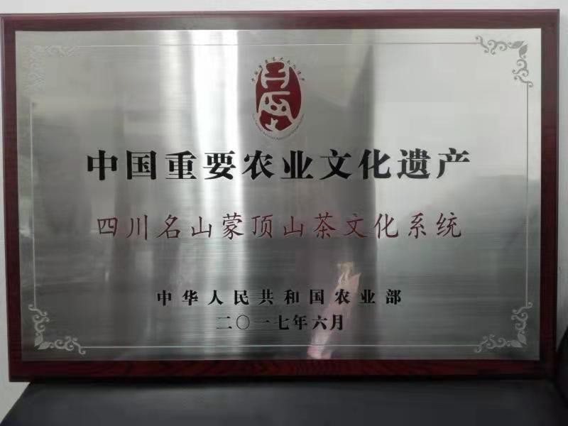 雅安蒙顶山茶文化旅游,2024雅安蒙顶山茶文化