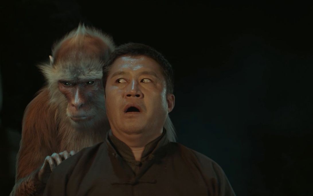 国人害怕的老猫猴子，居然是从非洲来的？黑毛白脸的怪物是什么？