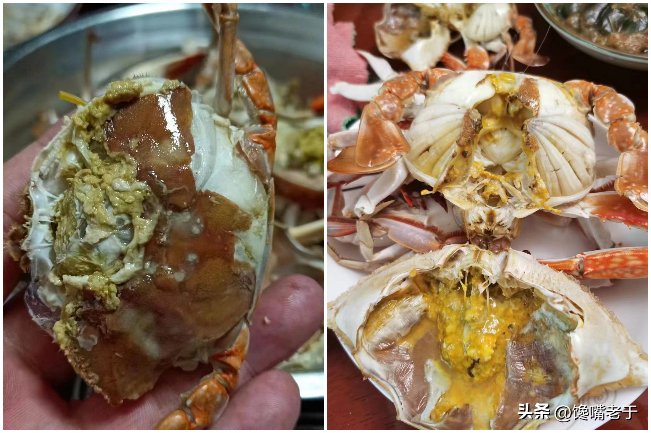 挑选螃蟹的秘籍大家学起来,买螃蟹的时候怎么挑肉和蟹黄多的