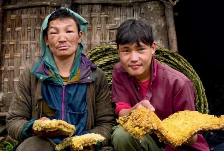 喜马拉雅山采蜜人：绝壁采蜜，专供尼泊尔皇室，一公斤卖3500美金