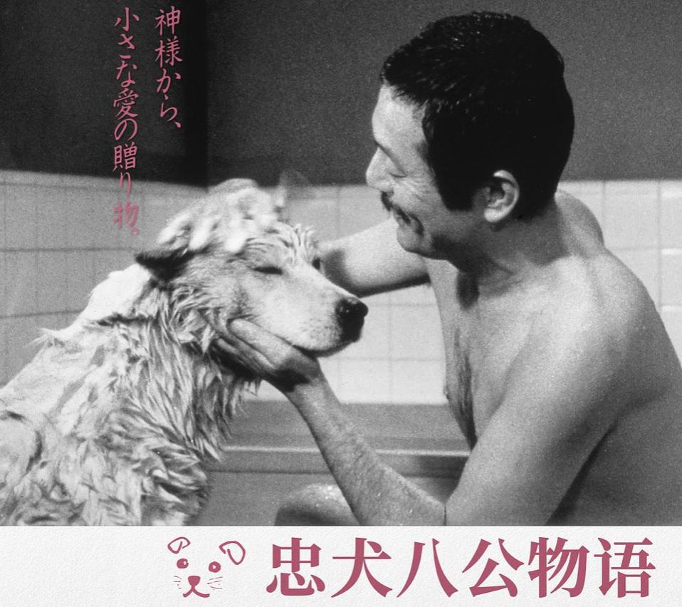 国产翻拍2019 (国内翻拍的电影吐槽)