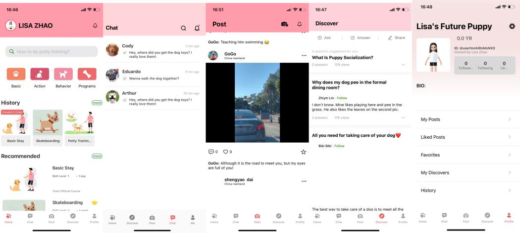 观望3年、准备7个月,我在湾区做了一个宠训App|对话创始人